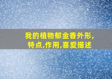 我的植物郁金香外形,特点,作用,喜爱描述