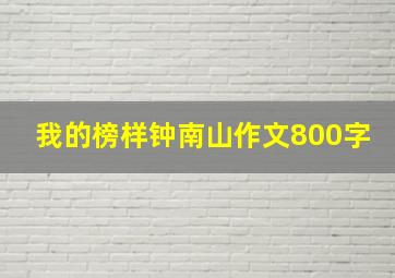 我的榜样钟南山作文800字