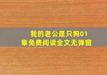 我的老公是只狗01章免费阅读全文无弹窗