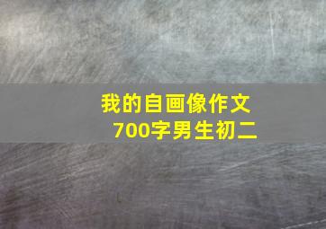 我的自画像作文700字男生初二