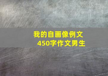 我的自画像例文450字作文男生