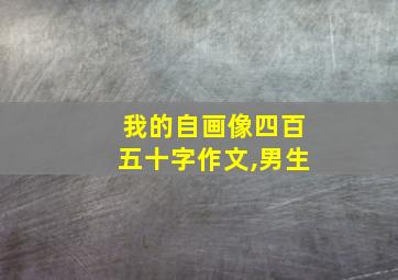 我的自画像四百五十字作文,男生