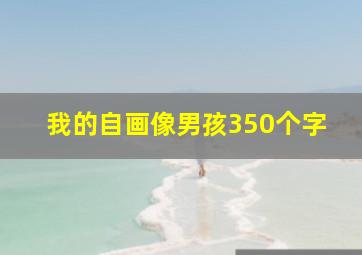 我的自画像男孩350个字