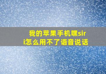 我的苹果手机嘿siri怎么用不了语音说话