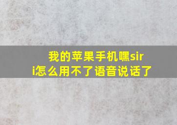 我的苹果手机嘿siri怎么用不了语音说话了