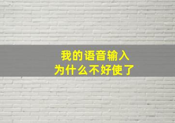 我的语音输入为什么不好使了