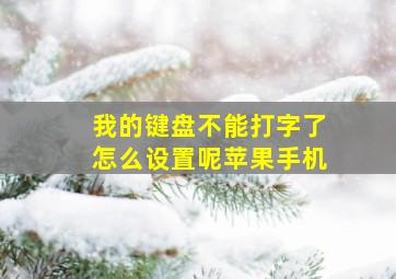 我的键盘不能打字了怎么设置呢苹果手机