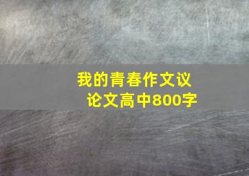 我的青春作文议论文高中800字