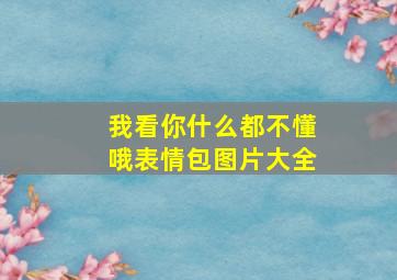 我看你什么都不懂哦表情包图片大全