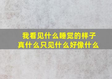 我看见什么睡觉的样子真什么只见什么好像什么