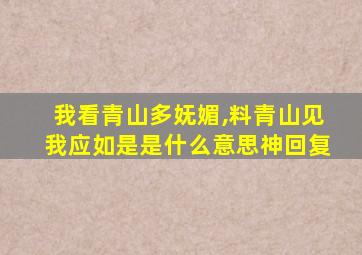 我看青山多妩媚,料青山见我应如是是什么意思神回复