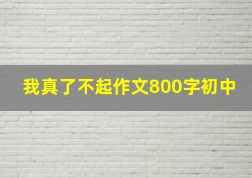 我真了不起作文800字初中