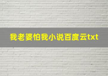 我老婆怕我小说百度云txt