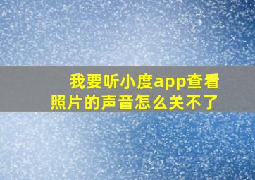 我要听小度app查看照片的声音怎么关不了