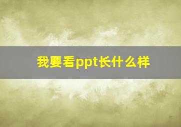 我要看ppt长什么样