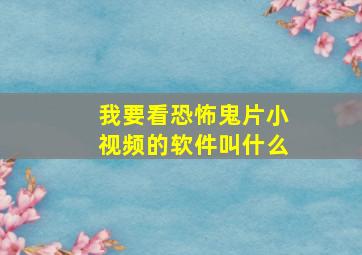 我要看恐怖鬼片小视频的软件叫什么