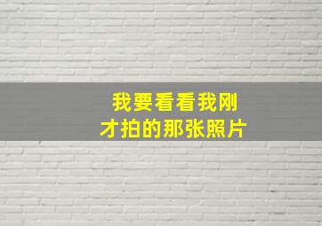 我要看看我刚才拍的那张照片