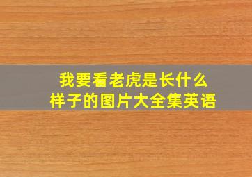 我要看老虎是长什么样子的图片大全集英语