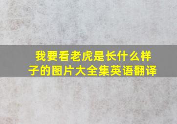 我要看老虎是长什么样子的图片大全集英语翻译