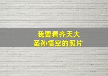 我要看齐天大圣孙悟空的照片