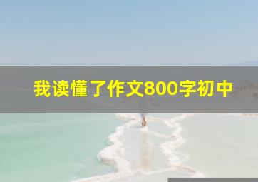 我读懂了作文800字初中