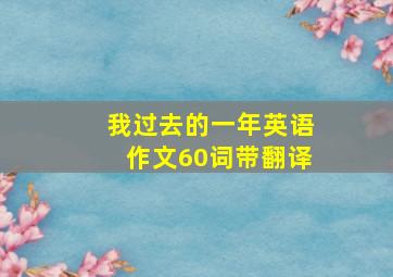 我过去的一年英语作文60词带翻译