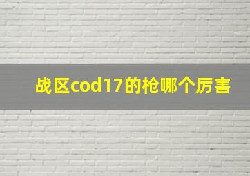 战区cod17的枪哪个厉害