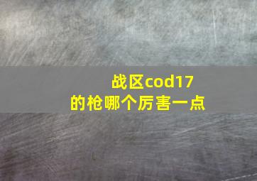 战区cod17的枪哪个厉害一点