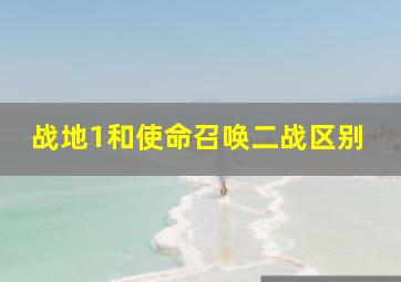 战地1和使命召唤二战区别