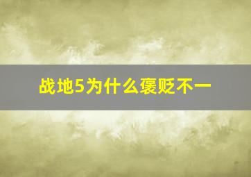 战地5为什么褒贬不一