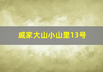 戚家大山小山里13号