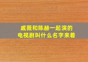 戚薇和陈赫一起演的电视剧叫什么名字来着