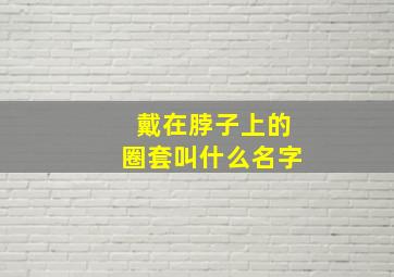 戴在脖子上的圈套叫什么名字