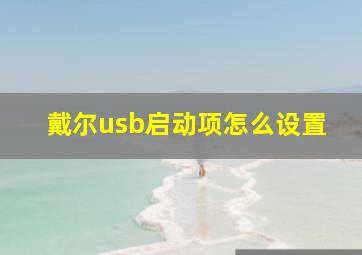 戴尔usb启动项怎么设置