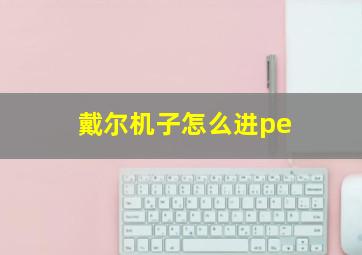 戴尔机子怎么进pe