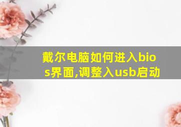 戴尔电脑如何进入bios界面,调整入usb启动