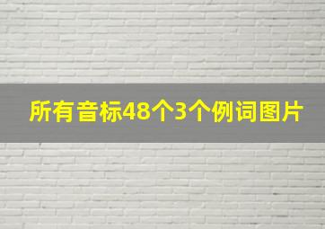 所有音标48个3个例词图片