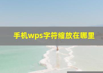 手机wps字符缩放在哪里