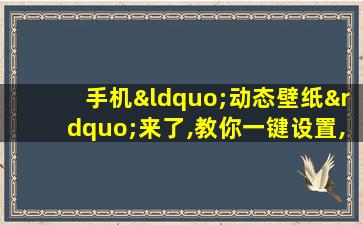 手机“动态壁纸”来了,教你一键设置,超好看!