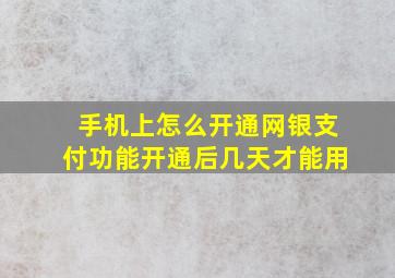 手机上怎么开通网银支付功能开通后几天才能用