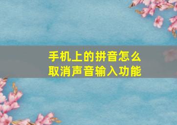 手机上的拼音怎么取消声音输入功能