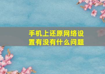 手机上还原网络设置有没有什么问题