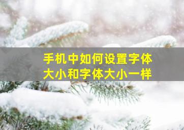 手机中如何设置字体大小和字体大小一样