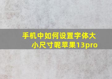 手机中如何设置字体大小尺寸呢苹果13pro