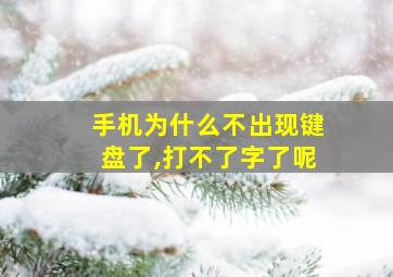 手机为什么不出现键盘了,打不了字了呢