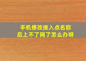 手机修改接入点名称后上不了网了怎么办呀