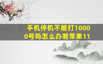 手机停机不能打10000号吗怎么办呢苹果11