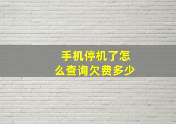 手机停机了怎么查询欠费多少