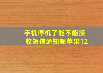 手机停机了能不能接收短信通知呢苹果12