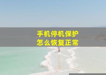 手机停机保护怎么恢复正常